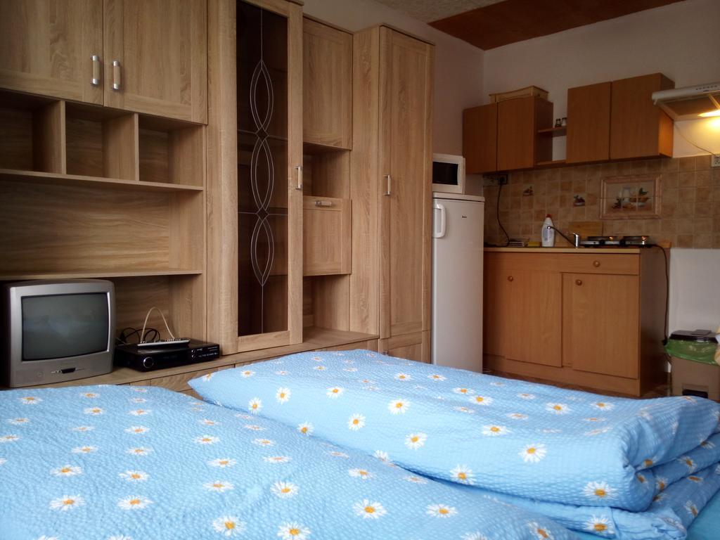 U Janecku Apartment Teplice nad Metují Exterior photo